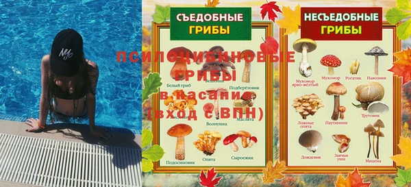мескалин Алексин
