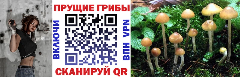 Псилоцибиновые грибы ЛСД  это телеграм  Змеиногорск 